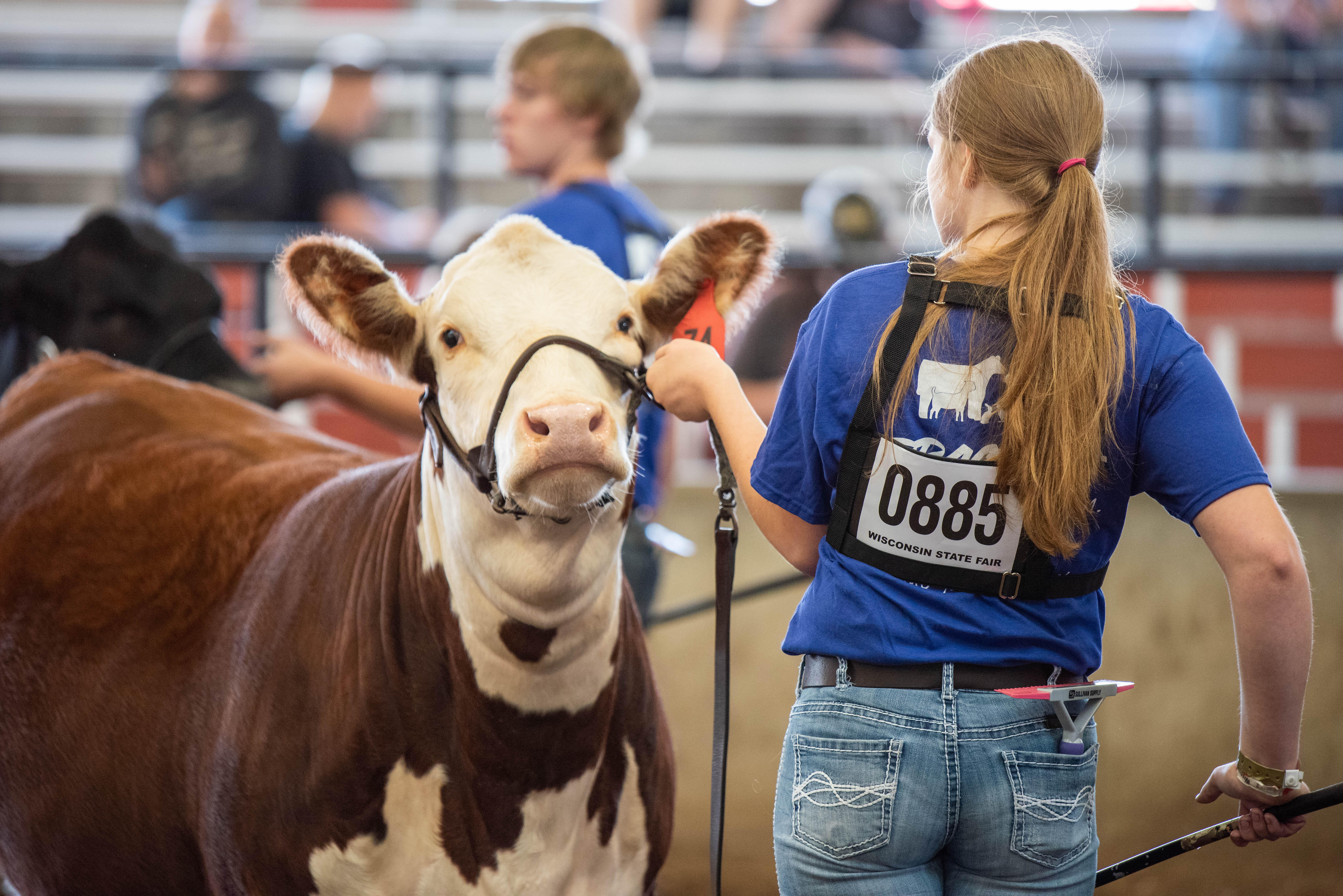 Wisconsin State Fair Beef Exhibitors