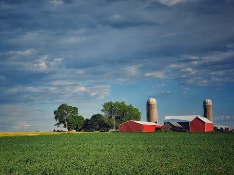 Grove Farms Beef