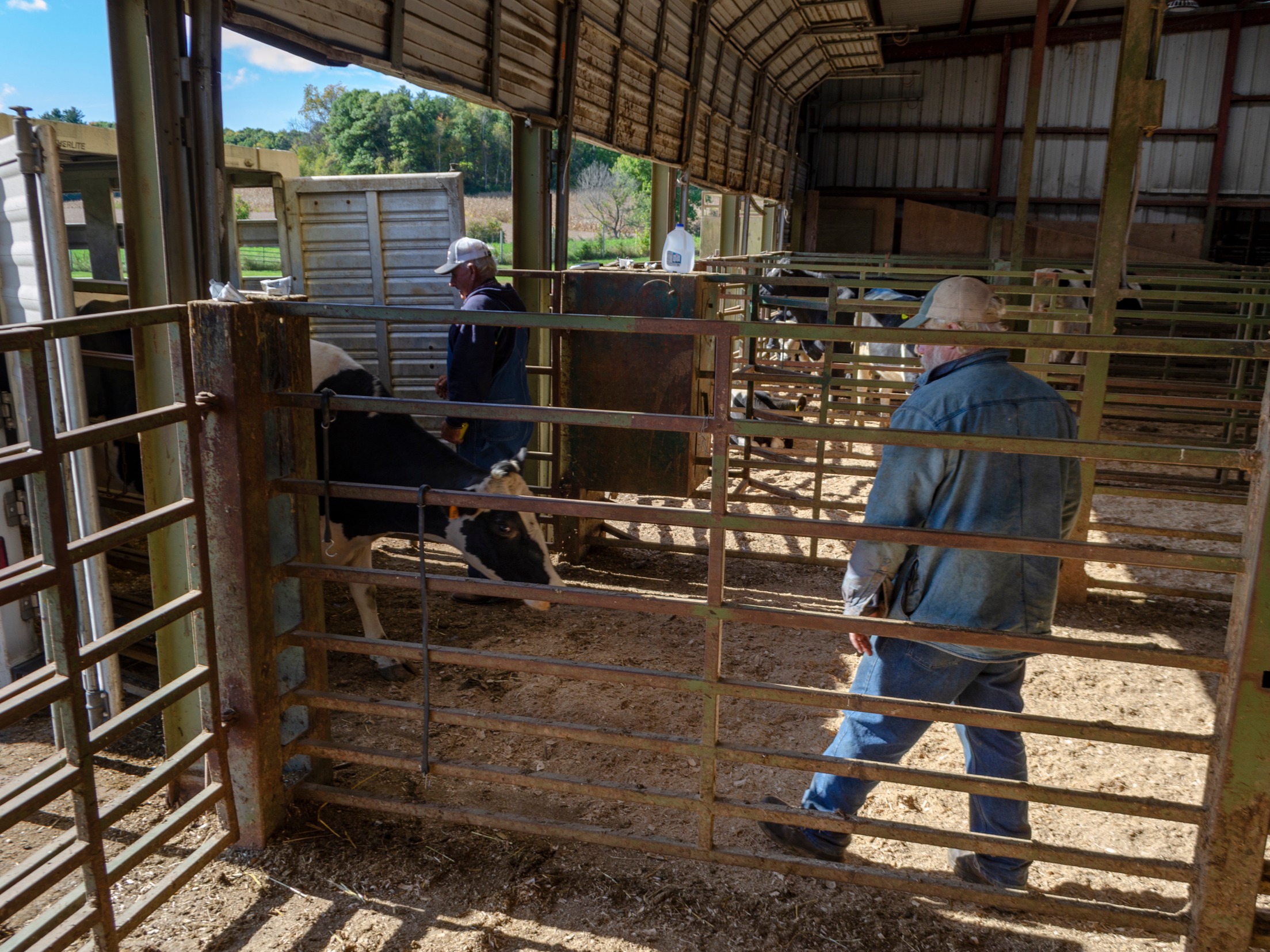 Equity Cooperative Livestock Sales